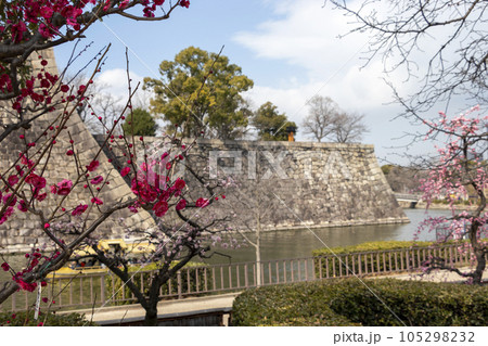 大阪城公園の梅 大阪城公園の梅 105298232