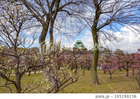大阪城公園の梅林 105298236