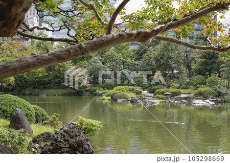 旧安田庭園　周辺の風景 105298669