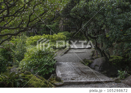 旧安田庭園 周辺の風景 旧安田庭園 周辺の風景 105298672