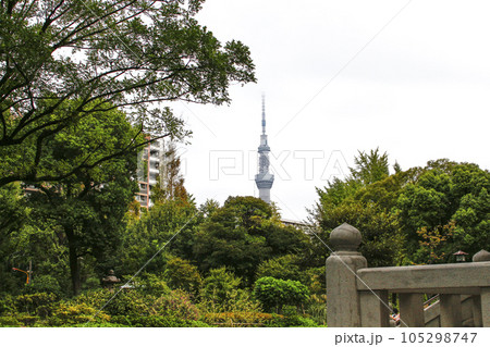 横網町公園 周辺の風景 横網町公園 周辺の風景 105298747