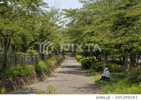 松戸　運動公園の周辺イメージ 105299291