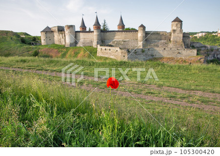 Blooming poppy in front of Castle in Kamianets-Podilskyi, Ukraine. Blooming poppy in front of Castle in Kamianets-Podilskyi, Ukraine. 105300420
