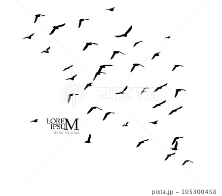 A flock of flying birds. Vector illustration 105300458