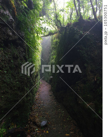 Narrow stone natural hike tunnel 105300751