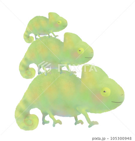 かわいい3匹の緑のカメレオンのイラスト  105300948