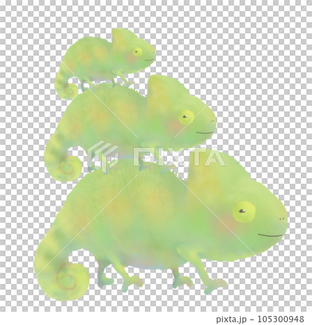 かわいい3匹の緑のカメレオンのイラスト  105300948