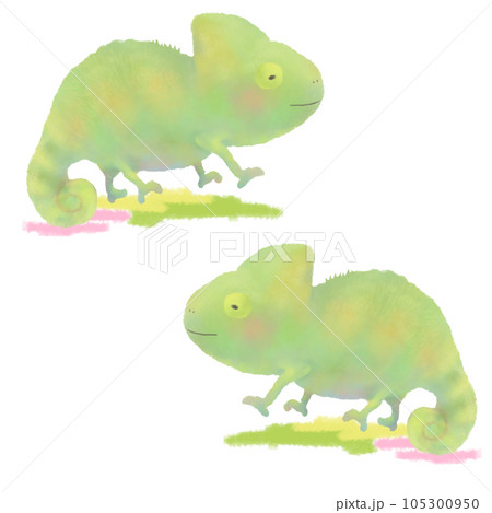 かわいい2匹の緑のカメレオンのイラスト  105300950