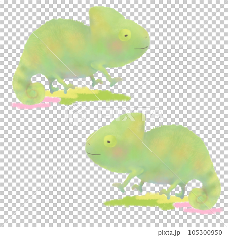 かわいい2匹の緑のカメレオンのイラスト  105300950