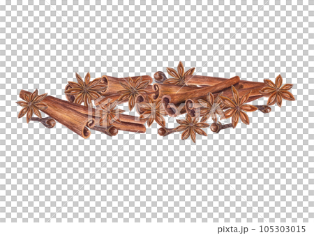 Cinnamons sticks, star anise, cloves. Watercolor illustration isolated on white background. Set for the design of invitation, cards, package design, advertising posters, labels Cinnamons sticks, star anise, cloves. Watercolor illustration isolated on white background. Set for the design of invitation, cards, package design, advertising posters, labels 105303015