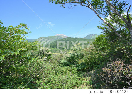栃木県那須町湯元周辺の自然研究路の風景 栃木県那須町湯元周辺の自然研究路の風景 105304525