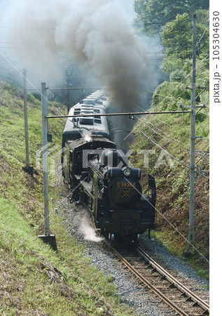 秩父鉄道　浦山口ー影森　C58-363＋12系 105304630