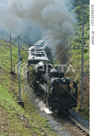秩父鉄道　浦山口ー影森　C58-363＋12系 105304639