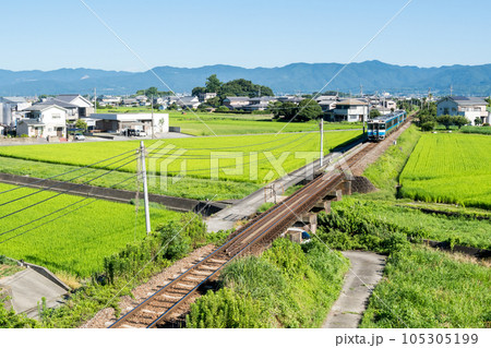 【徳島線】田園地帯を駆ける特急剣山 105305199