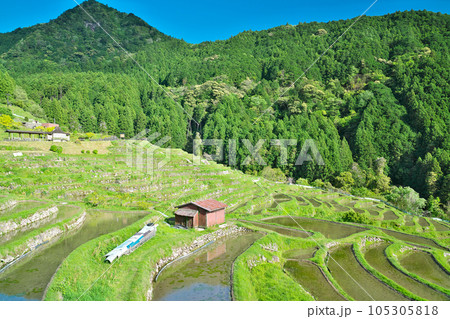 【丸山千枚田】 三重県熊野市紀和町丸山 105305818