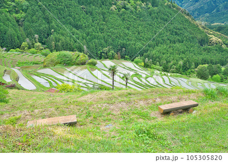 【丸山千枚田】 三重県熊野市紀和町丸山 105305820