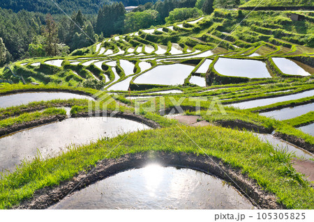 【丸山千枚田】 三重県熊野市紀和町丸山 105305825