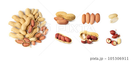 Peanuts Isolated, Roasted Arachis Nuts, Open Pea Nut, Whole Groundnut with Shell, Peanut on White 105306911