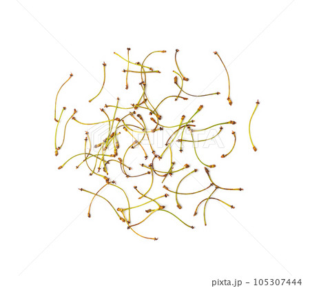 Cherry Tails, Dry Medicinal Plant, Natural Diuretic, Cherry Tails for Healthy Herbal Tea 105307444