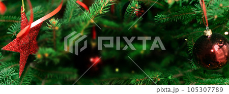 Natural green spruce twig background or texture 105307789