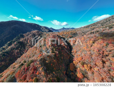 空撮「栃木県」紅葉した日光の山々の風景 105308228