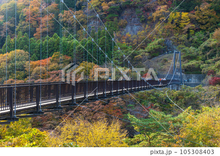 栃木日光市 紅葉の鬼怒川温泉 鬼怒楯岩大吊橋 栃木日光市 紅葉の鬼怒川温泉 鬼怒楯岩大吊橋 105308403