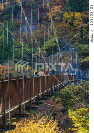 栃木日光市　紅葉の鬼怒川温泉　鬼怒楯岩大吊橋 105308405