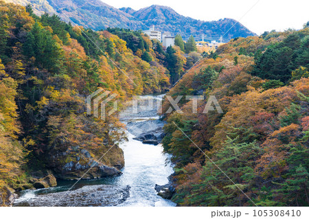 栃木日光市　紅葉の鬼怒川温泉　鬼怒楯岩大吊橋からの眺望 105308410