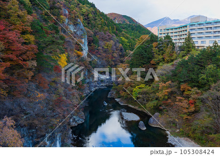 栃木日光市 紅葉の鬼怒川温泉 鬼怒楯岩大吊橋からの眺望 栃木日光市 紅葉の鬼怒川温泉 鬼怒楯岩大吊橋からの眺望 105308424