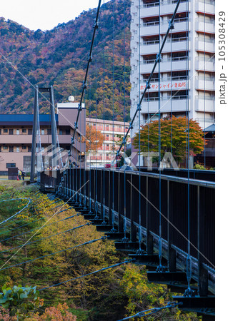 栃木日光市　紅葉の鬼怒川温泉　鬼怒楯岩大吊橋 105308429