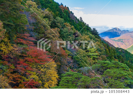 栃木日光市　紅葉の鬼怒川温泉　楯岩展望台からの眺望 105308443