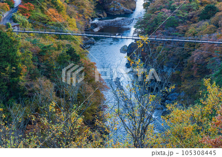 栃木日光市　紅葉の鬼怒川温泉　楯岩展望台からの眺望 105308445