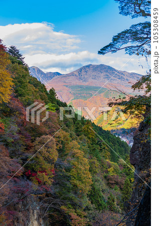 栃木日光市　紅葉の鬼怒川温泉　楯岩展望台からの眺望 105308459