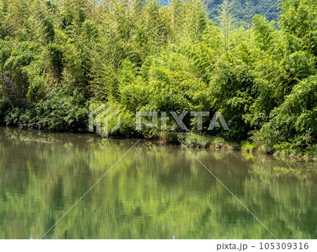 夏の揖保川の風景。(兵庫県宍粟市内) 105309316