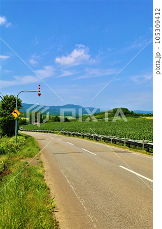 七月の北海道、美瑛の丘で感じる初夏の薫り、芳醇な大地、欧州ヨーロッパの田舎町を想わせる丘の町にて 七月の北海道、美瑛の丘で感じる初夏の薫り、芳醇な大地、欧州ヨーロッパの田舎町を想わせる丘の町にて 105309412