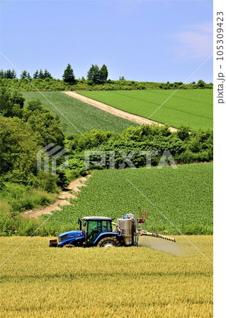 七月の北海道、美瑛の丘で感じる初夏の薫り、芳醇な大地、欧州ヨーロッパの田舎町を想わせる丘の町にて 七月の北海道、美瑛の丘で感じる初夏の薫り、芳醇な大地、欧州ヨーロッパの田舎町を想わせる丘の町にて 105309423
