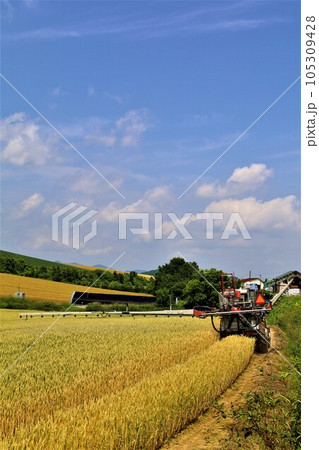 七月の北海道、美瑛の丘で感じる初夏の薫り、芳醇な大地、欧州ヨーロッパの田舎町を想わせる丘の町にて 七月の北海道、美瑛の丘で感じる初夏の薫り、芳醇な大地、欧州ヨーロッパの田舎町を想わせる丘の町にて 105309428