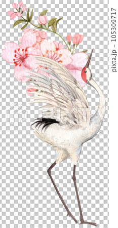 Crane and chinese art watercolor element png Crane and chinese art watercolor element png 105309717