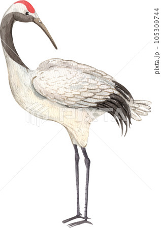 Crane and chinese art watercolor element png 105309744