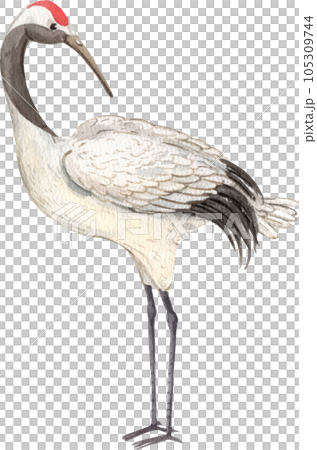 Crane and chinese art watercolor element png 105309744