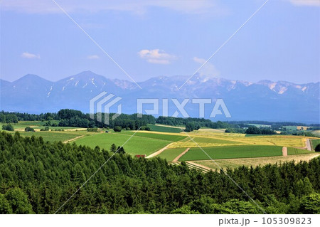 七月の北海道、美瑛の丘で感じる初夏の薫り、芳醇な大地、欧州ヨーロッパの田舎町を想わせる丘の町にて 七月の北海道、美瑛の丘で感じる初夏の薫り、芳醇な大地、欧州ヨーロッパの田舎町を想わせる丘の町にて 105309823