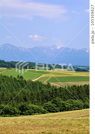 七月の北海道、美瑛の丘で感じる初夏の薫り、芳醇な大地、欧州ヨーロッパの田舎町を想わせる丘の町にて 七月の北海道、美瑛の丘で感じる初夏の薫り、芳醇な大地、欧州ヨーロッパの田舎町を想わせる丘の町にて 105309827