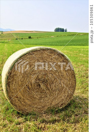 七月の北海道、美瑛の丘で感じる初夏の薫り、芳醇な大地、欧州ヨーロッパの田舎町を想わせる丘の町にて 七月の北海道、美瑛の丘で感じる初夏の薫り、芳醇な大地、欧州ヨーロッパの田舎町を想わせる丘の町にて 105309861