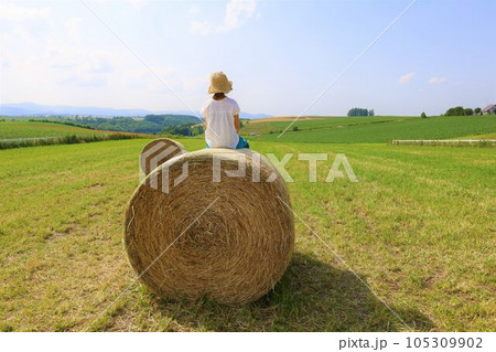 七月の北海道、美瑛の丘で感じる初夏の薫り、芳醇な大地、欧州ヨーロッパの田舎町を想わせる丘の町にて 105309902
