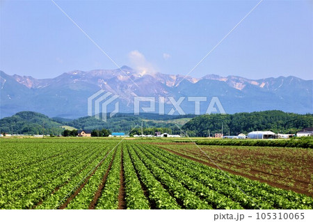 七月の北海道、美瑛の丘で感じる初夏の薫り、芳醇な大地、欧州ヨーロッパの田舎町を想わせる丘の町にて 七月の北海道、美瑛の丘で感じる初夏の薫り、芳醇な大地、欧州ヨーロッパの田舎町を想わせる丘の町にて 105310065