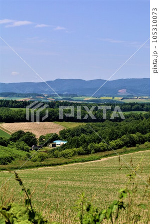 七月の北海道、美瑛の丘で感じる初夏の薫り、芳醇な大地、欧州ヨーロッパの田舎町を想わせる丘の町にて 七月の北海道、美瑛の丘で感じる初夏の薫り、芳醇な大地、欧州ヨーロッパの田舎町を想わせる丘の町にて 105310073