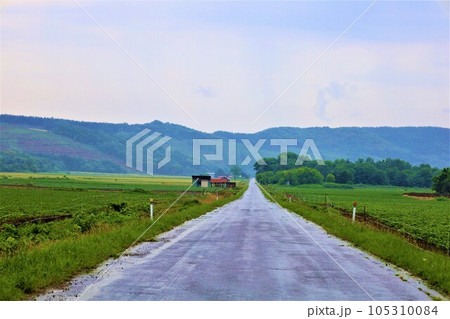 七月の北海道、美瑛の丘で感じる初夏の薫り、芳醇な大地、欧州ヨーロッパの田舎町を想わせる丘の町にて 七月の北海道、美瑛の丘で感じる初夏の薫り、芳醇な大地、欧州ヨーロッパの田舎町を想わせる丘の町にて 105310084