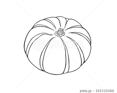 プッチーニカボチャのシンプルな線画イラスト プッチーニカボチャのシンプルな線画イラスト 105310360
