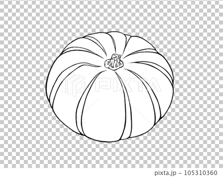 普契尼南瓜的簡單線條畫插圖 105310360