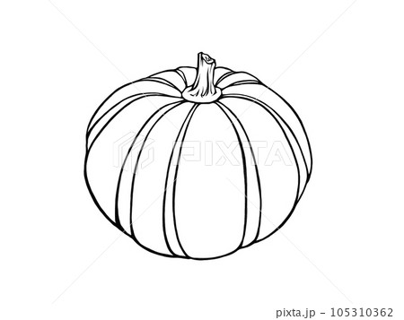 プッチーニカボチャのシンプルな線画イラスト プッチーニカボチャのシンプルな線画イラスト 105310362